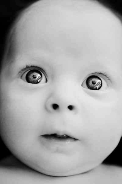 Photographing Babies on Ve Had The Pleasure Of Photographing More Than 300 New Babies