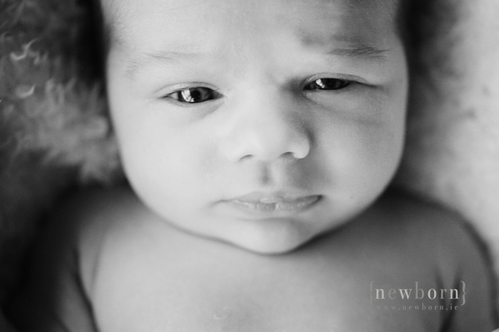 Newborn Photography Ireland: Louis