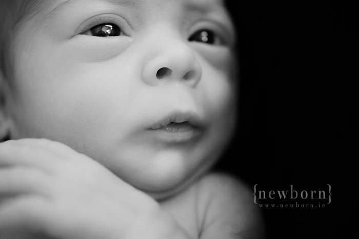 Newborn Photography Ireland: Bright Eyes