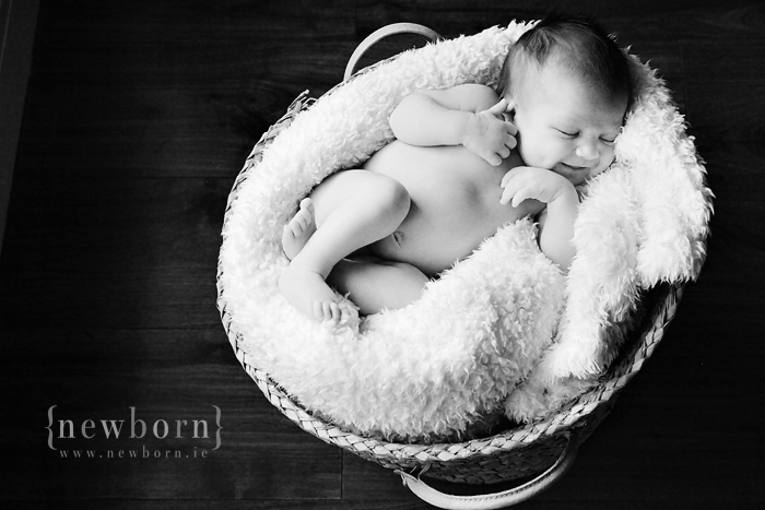 Newborn Photography, Dublin